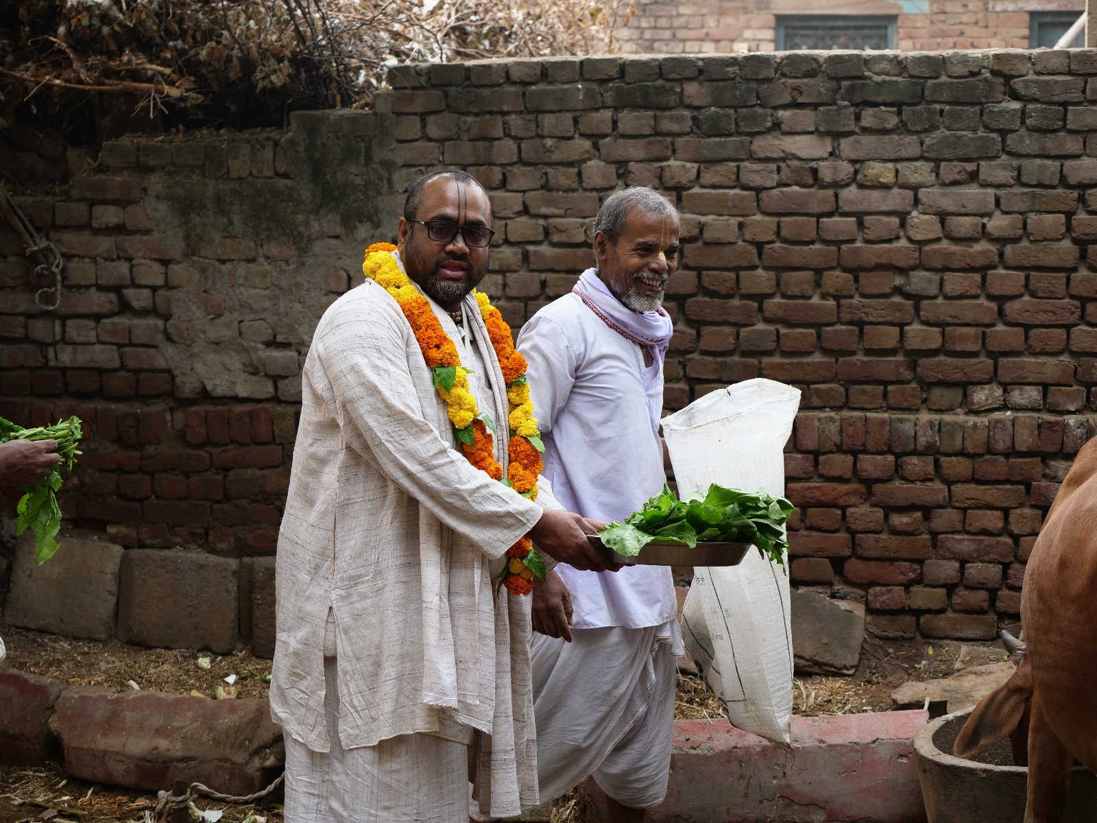  90 Gopashtami Radha kunda Govardhan 19.11.04
